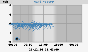 Wind Vector